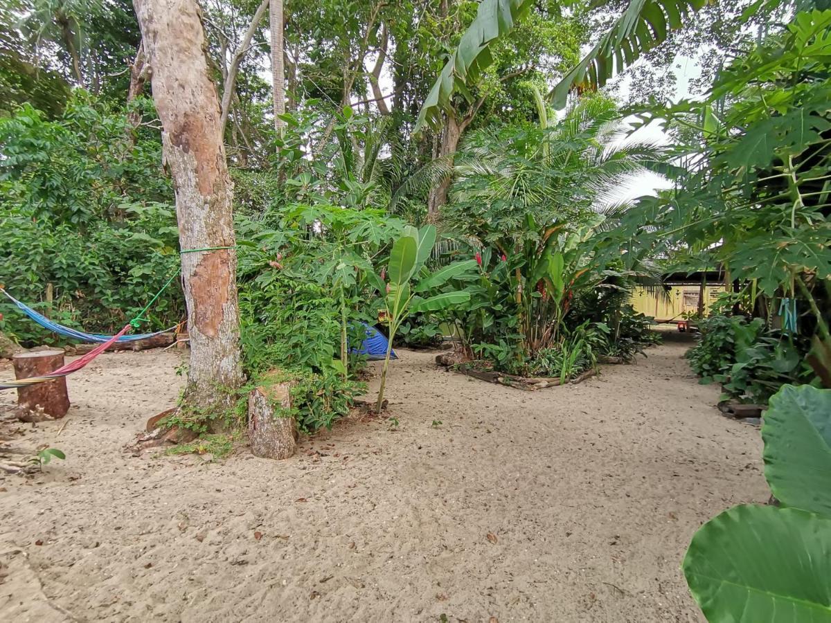 הוסטל Puerto Viejo de Talamanca Oasis מראה חיצוני תמונה