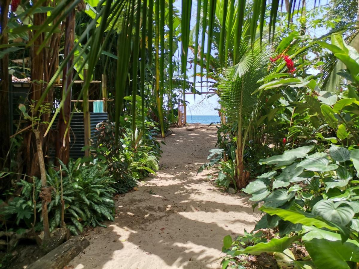 הוסטל Puerto Viejo de Talamanca Oasis מראה חיצוני תמונה
