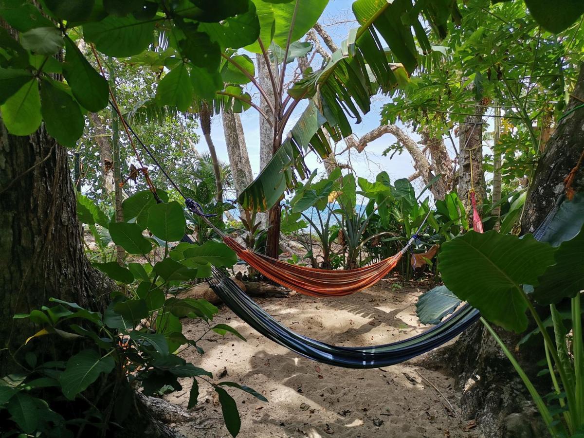 הוסטל Puerto Viejo de Talamanca Oasis מראה חיצוני תמונה
