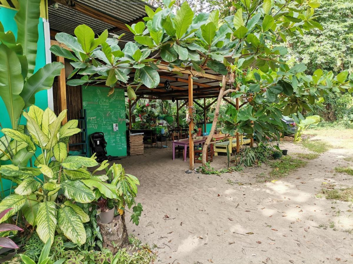 הוסטל Puerto Viejo de Talamanca Oasis מראה חיצוני תמונה