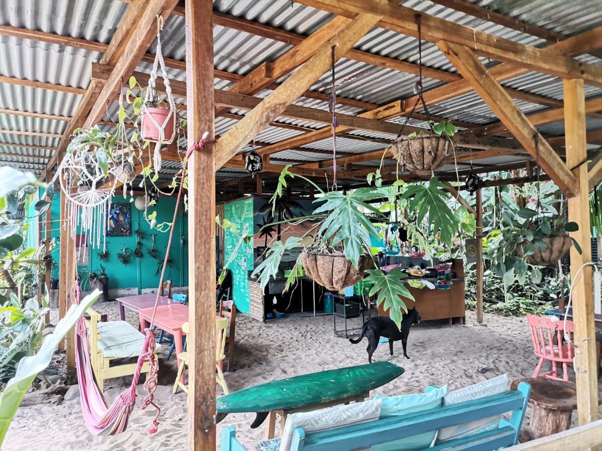 הוסטל Puerto Viejo de Talamanca Oasis מראה חיצוני תמונה