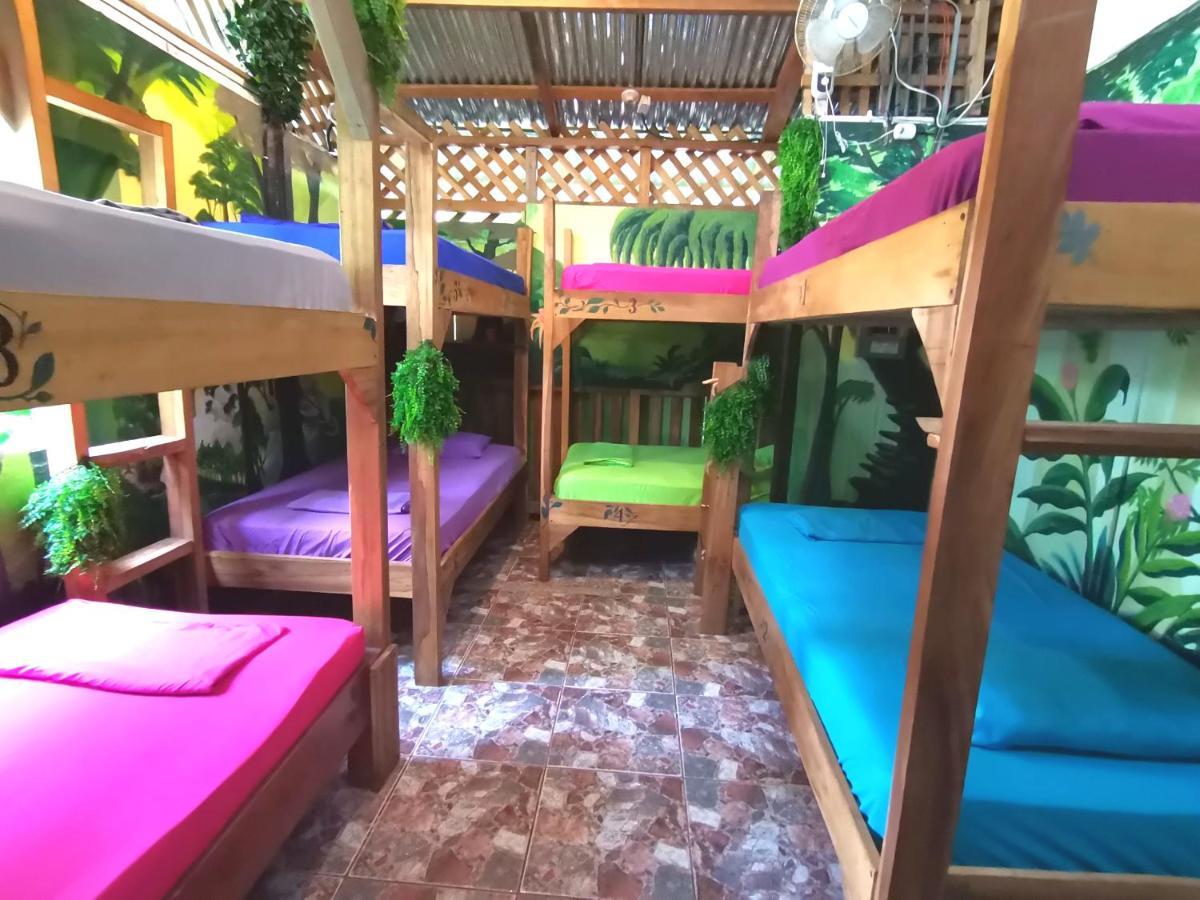 הוסטל Puerto Viejo de Talamanca Oasis מראה חיצוני תמונה