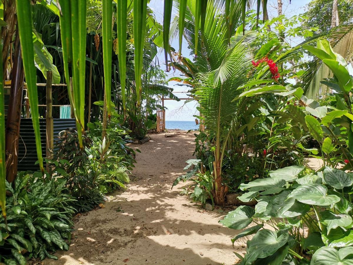 הוסטל Puerto Viejo de Talamanca Oasis מראה חיצוני תמונה