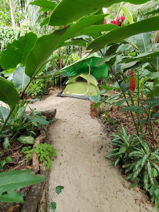 הוסטל Puerto Viejo de Talamanca Oasis מראה חיצוני תמונה