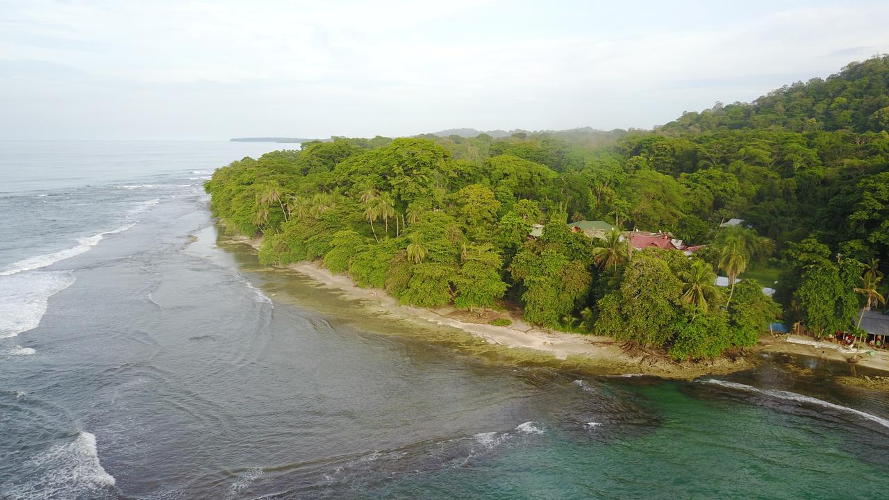 הוסטל Puerto Viejo de Talamanca Oasis מראה חיצוני תמונה