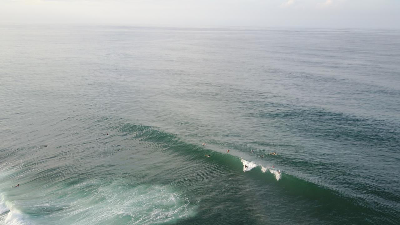 הוסטל Puerto Viejo de Talamanca Oasis מראה חיצוני תמונה