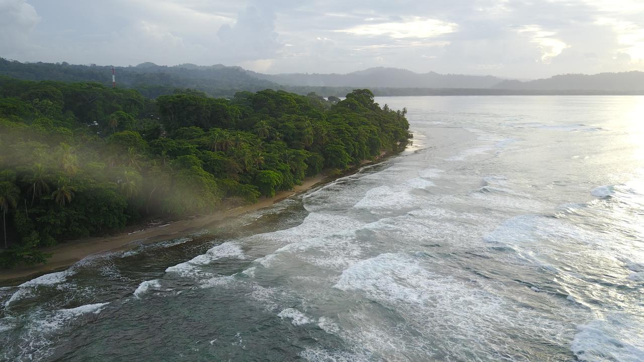 הוסטל Puerto Viejo de Talamanca Oasis מראה חיצוני תמונה