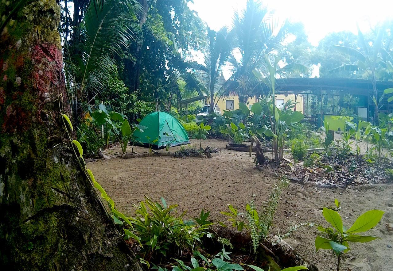 הוסטל Puerto Viejo de Talamanca Oasis מראה חיצוני תמונה
