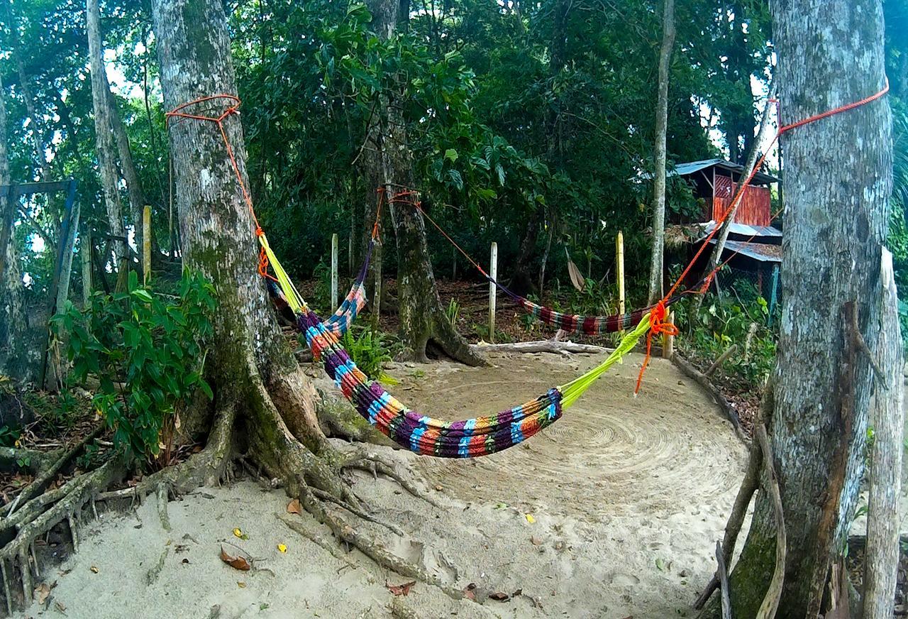 הוסטל Puerto Viejo de Talamanca Oasis מראה חיצוני תמונה