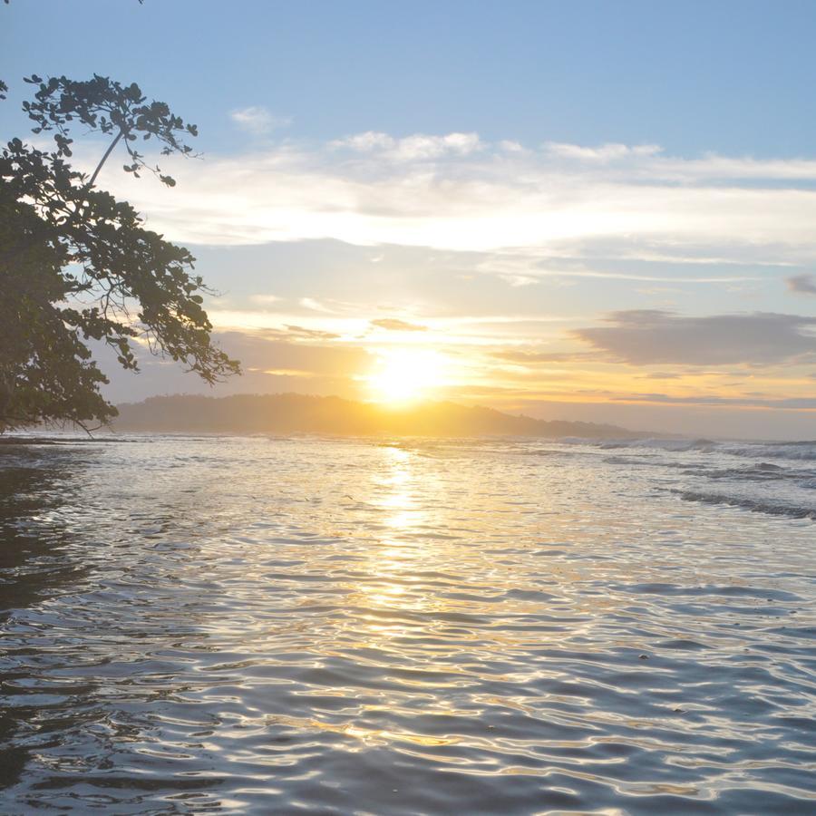 הוסטל Puerto Viejo de Talamanca Oasis מראה חיצוני תמונה