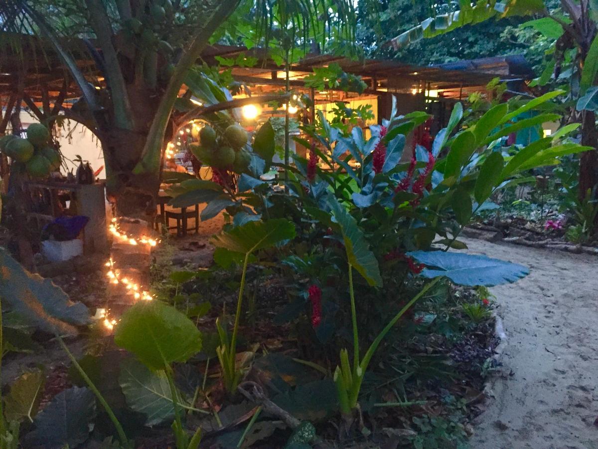 הוסטל Puerto Viejo de Talamanca Oasis מראה חיצוני תמונה