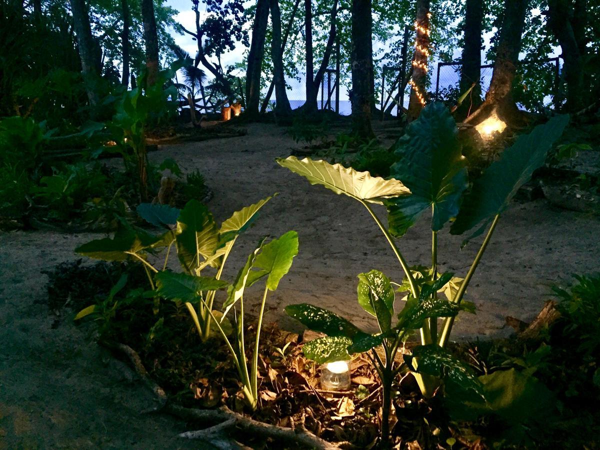 הוסטל Puerto Viejo de Talamanca Oasis מראה חיצוני תמונה