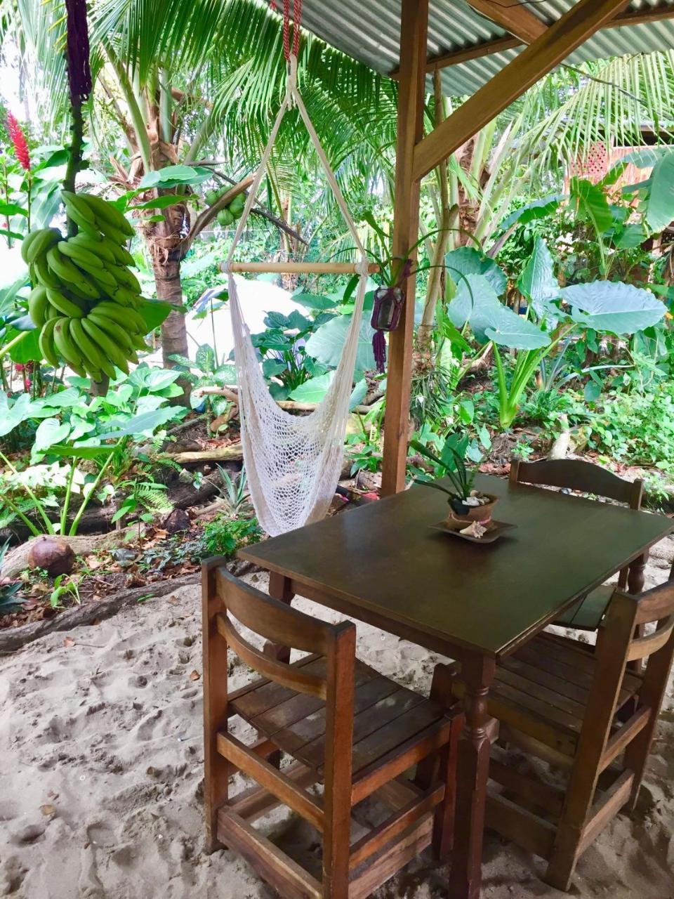 הוסטל Puerto Viejo de Talamanca Oasis מראה חיצוני תמונה
