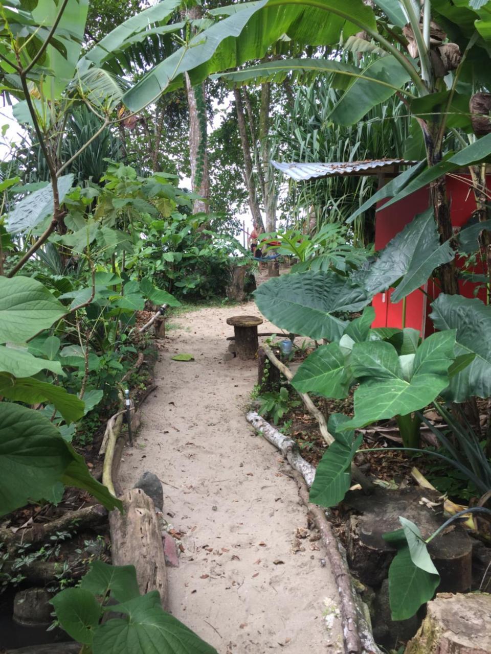 הוסטל Puerto Viejo de Talamanca Oasis מראה חיצוני תמונה