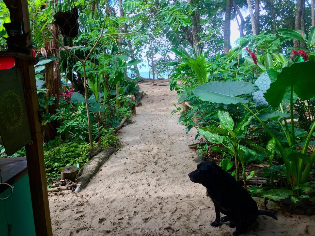 הוסטל Puerto Viejo de Talamanca Oasis מראה חיצוני תמונה