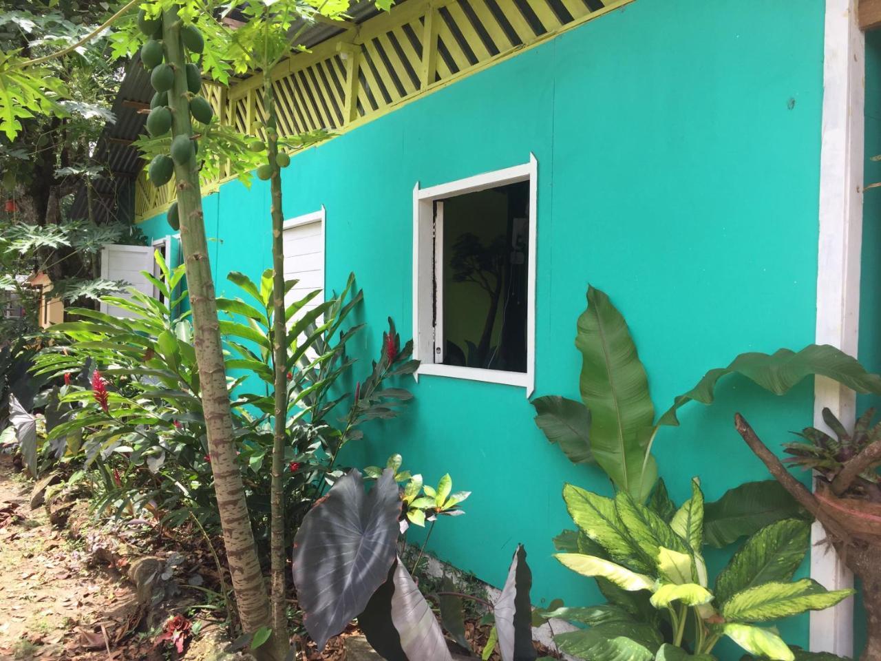 הוסטל Puerto Viejo de Talamanca Oasis מראה חיצוני תמונה