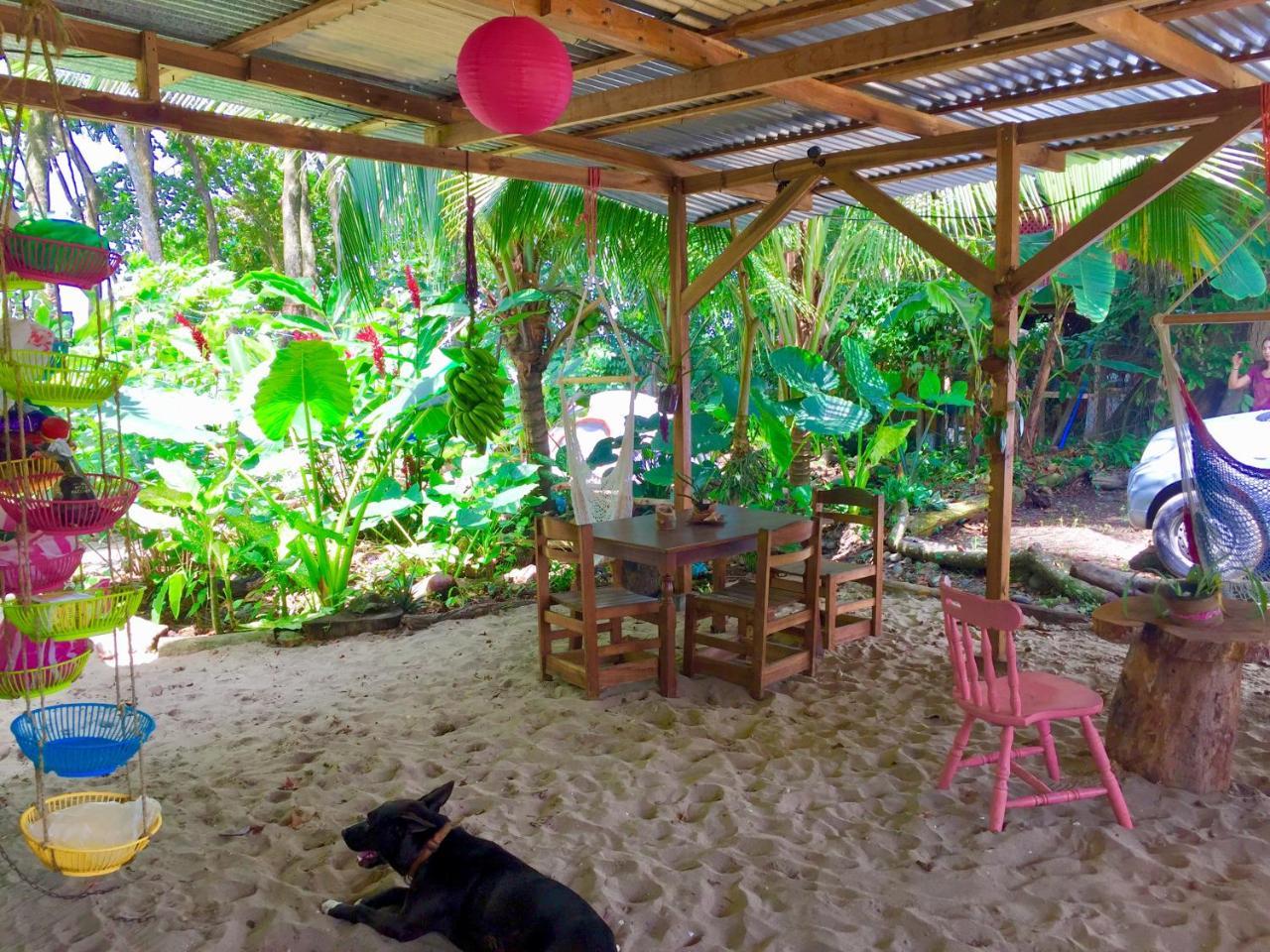 הוסטל Puerto Viejo de Talamanca Oasis מראה חיצוני תמונה