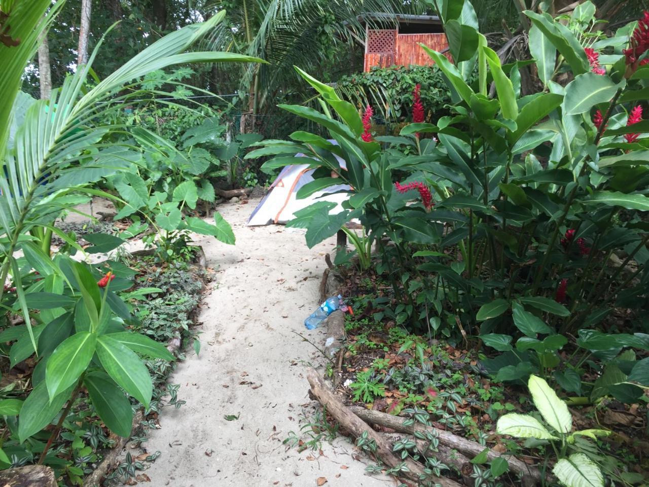 הוסטל Puerto Viejo de Talamanca Oasis מראה חיצוני תמונה
