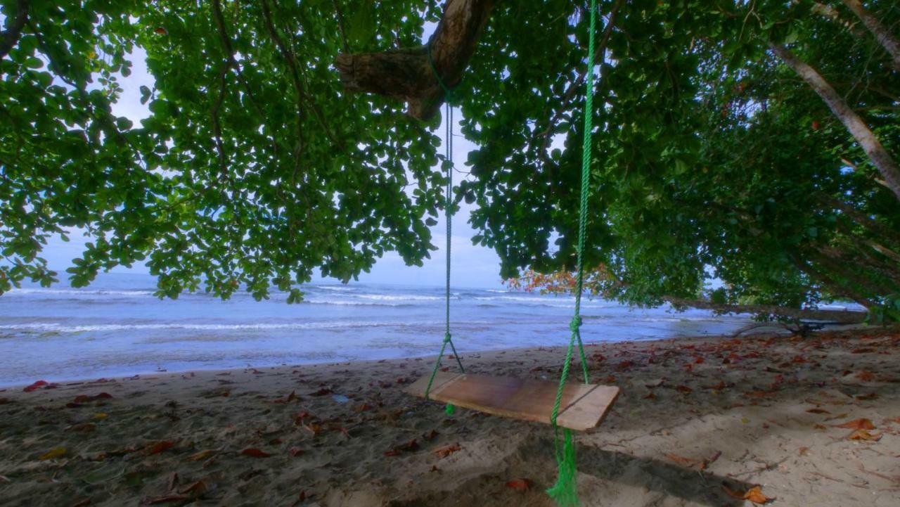 הוסטל Puerto Viejo de Talamanca Oasis מראה חיצוני תמונה